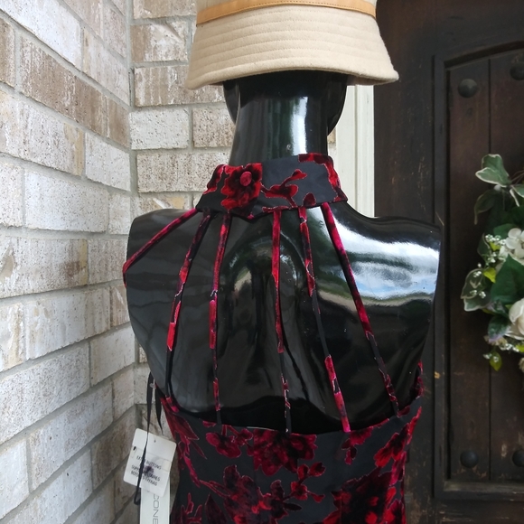 Evan piccone - Picture 6 of 7